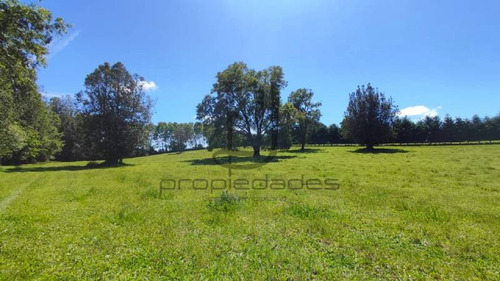 Imagen 5 de 25 de Venta De Parcela En Villarrica