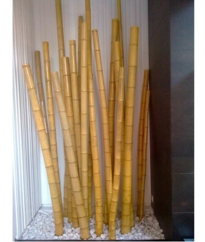 Bambu Para Uso Estructural Y Artesanal 5 Cortes De 1 M