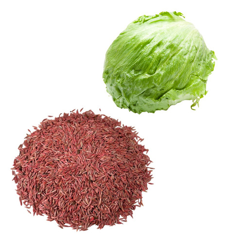 Semillas Lechuga Bola Para Cultivo 2 Kg