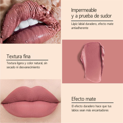 12 Colores Labiales Mate Larga Duracion Pintalabio Regalo