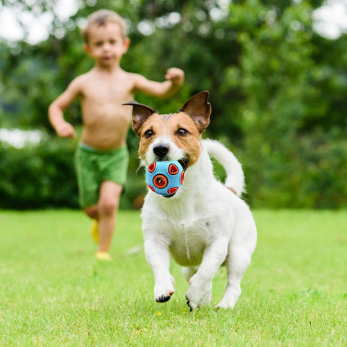 Pelota Elástica Para Perros, Resistente A Las Mordeduras, Bo