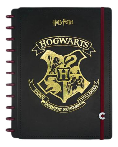 Caderno Inteligente Grande - Original - Harry Potter - 80 Fo