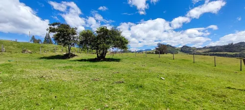 Lote En Venta En Vereda San Rafael. Cod V13714