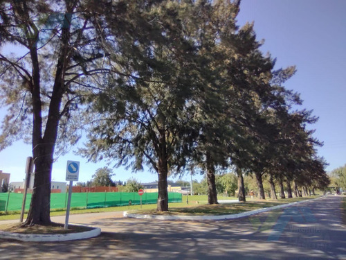 Casa En Venta En Altos De Campo Grande