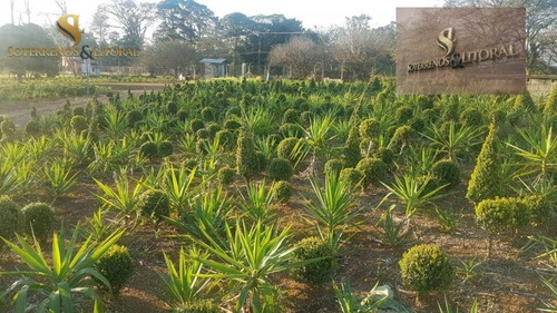 Imagem 2 de 15 de Chácara ¿ Suzano -sp - Chácara A Venda No Bairro Suzano - Suzano, Sp - 247
