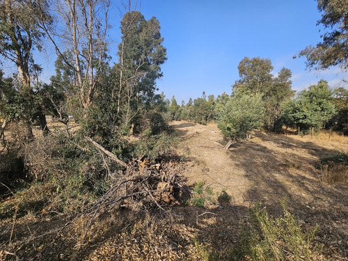Vendo Sitio De 5580 M2 En Queronque Los Laureles Limache.