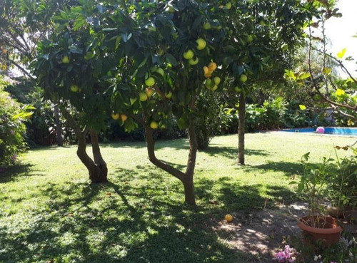 Imagen 3 de 11 de Casa - Funes