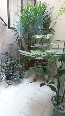 Imagem 7 de 15 de Casa Sobrado Para Venda, 2 Dormitório(s), 200.0m² - 7636