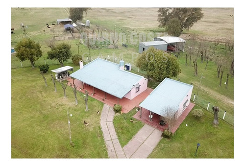 Imagen 10 de 13 de Campo Venta Las Heras Cabaña Producción Engorde Villars