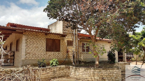 Imagem 2 de 30 de Granja A Venda Entre Monte Alegre E Brejinho