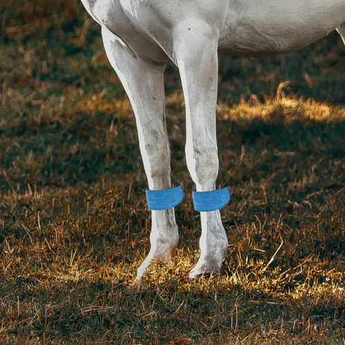 Tobilleras Led Para Caballos, 4 Unidades, Ajustables Para Pi