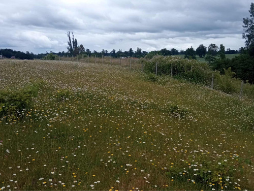 Terreno Osorno - Comuna De San Pablo