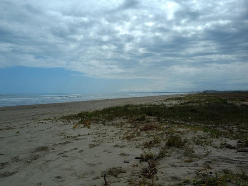 Venta Terreno 100 Hectareas Playa Tamiahua Veracruz