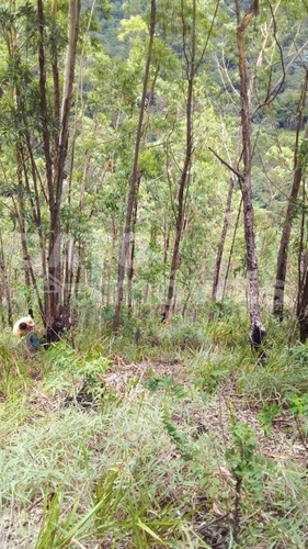 Imagem 1 de 7 de Terreno Para Venda Em Cajamar, Ponunduva - 22650_1-2269053