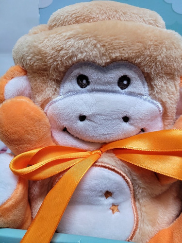 Peluche Con Manta Modelo Mono
