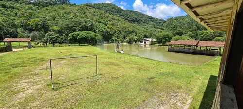 Imagem 7 de 19 de Sítio A Venda Em Brusque/sc - 1754c
