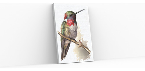 Cuadros Canvas Para Habitación Hermoso Colibrí 65x45