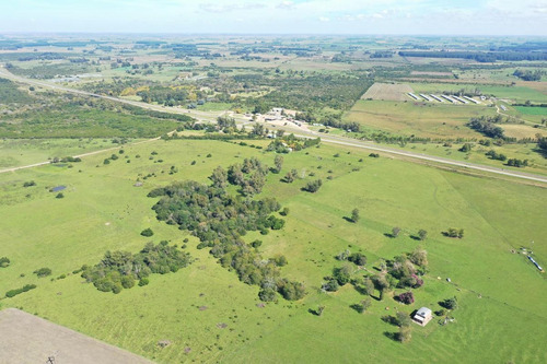 Imagen 6 de 30 de Campo Sobre Autopista Ruta 14 Colón Entre Ríos