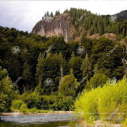 Imagen 12 de 17 de Chacra / Fracción En Venta En Patagonia Argentina - 12 Has Sobre Rio - Fly Fishing Pesca Con Mosca.