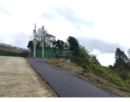 Acceso Al Río Maullin | En Condominio