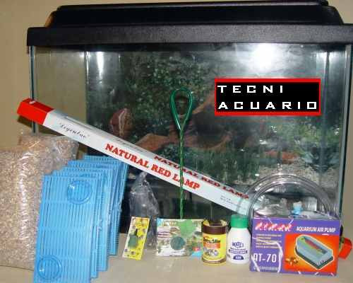 Acuario Completo Pecera Tapa Base Mainar 120x50x30 - 180 Lts