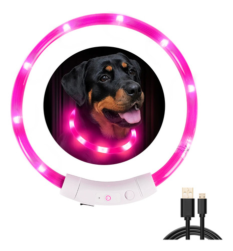 Collar Led Mascota Recargable Por Usb Resistente Y Ajustable
