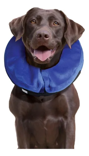 Kong Collar De Recuperación Inflable Perro Large