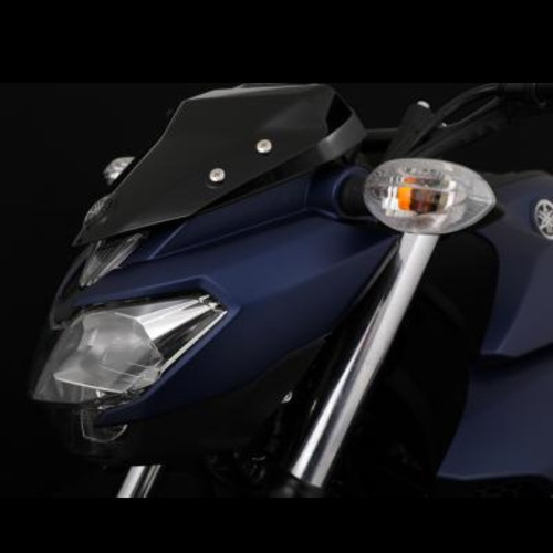 Imagen 10 de 16 de Yamaha Fz 25 En Stock Storero Motos