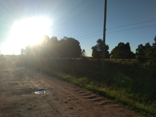 Campo Virgen En San Jacinto Ruta 7 Km 46 U$s40000 V155