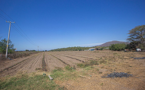 Venta De Terreno En Armeria, Colima