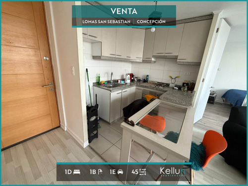 Departamento En Venta 1d | 1b | 1e En Lomas San Sebastian