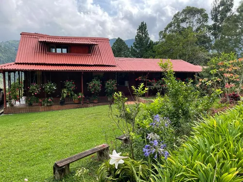 Finca En Venta En Felidia. Cod V9667