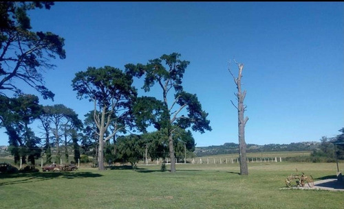 Imagen 12 de 12 de Excelente Campo En Sierra De Los Padres