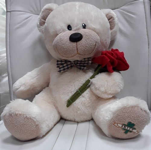 Urso Ursinho De Pelúcia 50cm C/ Flores Presente Namorados