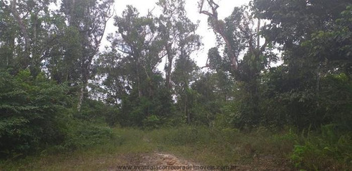 Imagem 9 de 20 de Chácaras Na Praia À Venda Em Itanhaem/sp - Compre O Seu Chácaras Na Praia Aqui! - 1453536