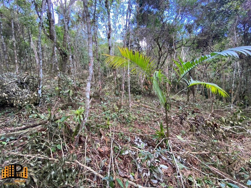 Imagem 16 de 18 de Chácara À Venda 2.749,43m2 Estrada Da Barrinha - São Lourenço/sp - Ch07782 - 69485090