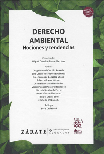 Derecho Ambiental Nociones Y Tendencias, De Jorge Manuel Castillo Luis Gerardo Fernandez. Editorial Tirant Lo Blanch, Tapa Dura En Español, 2020