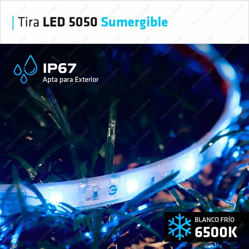 Tira Led 5050 Sumergible Fria 60 X Mtr Pileta Reforzada Ip67 Color De La Luz Blanco Frío