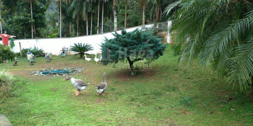 Imagem 8 de 9 de Chácara À Venda No Bairro São Pedro Em Guabiruba/sc - 1458c