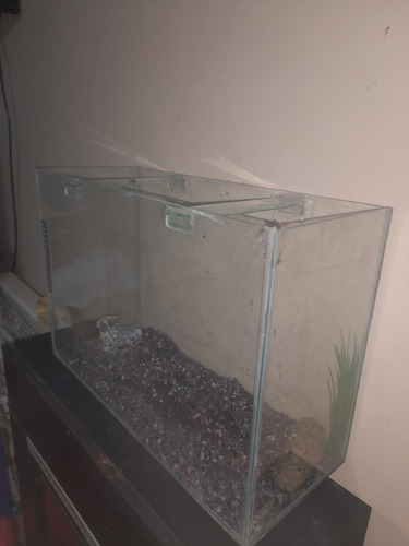 Pecera Terrario Con Accesorios 50.x 34 X 20 Ramos Mejia (Usado)