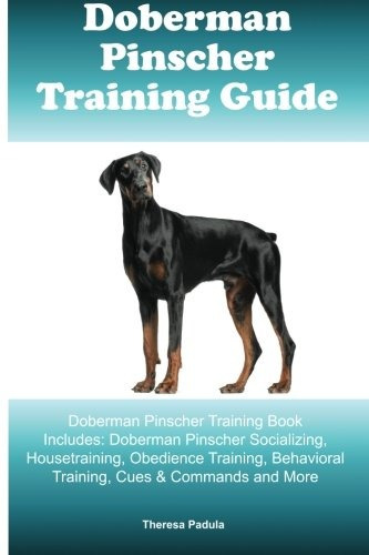 Doberman Pinscher Training Guide Doberman Pinscher Training 