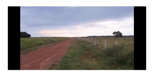 Imagem 17 de 22 de Fazenda 1958 Hectares, Planta 1500 Hectares, Rica Em Água Com Rios, Açudes, Casas, Curral, Galpões, Poços Artesianos, Terra Fértil - Fa00237 - 70701334