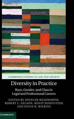 Libro Diversity In Practice : Race, Gender, And Class In ...