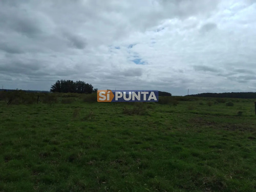 Oportunidad En Polo Club Country De Ruta 10 Kilómetro 172