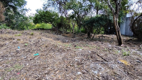Imagen 3 de 23 de Terreno Venta Fraccionamiento Club De Golf Sta. Fe. M7 L1