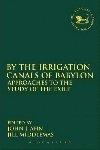 By The Irrigation Canals Of Babylon, De John J. Ahn. Editorial Bloomsbury Publishing Plc, Tapa Blanda En Inglés