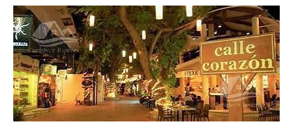 Imagen 13 de 18 de Departamento En Venta En Riviera Maya Playa Del Carmen Yaxche Syr186