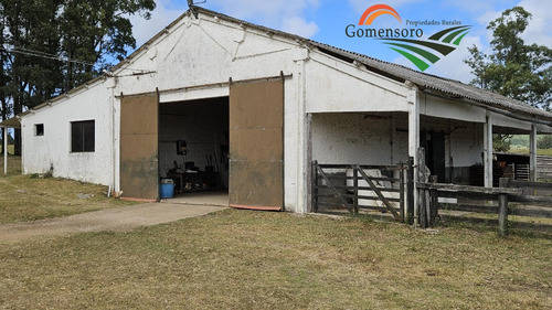 Maldonado Campo Turístico Agrícola Ganadero 319 Has Con Casa Y Galpón