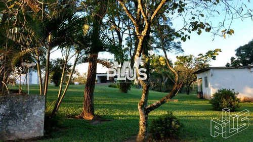 Imagem 28 de 30 de Chácara Com 5 Dorms, Éden, Sorocaba - R$ 1.1 Mi, Cod: 3469 - V3469