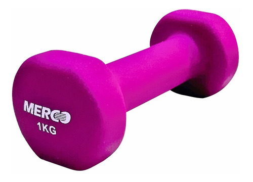 Mancuerna Hierro Macizo Goma Neoprene X 1 Kg. | Favio Sport